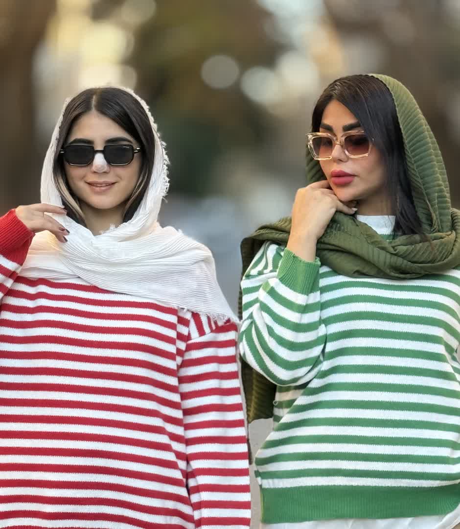 پولیور دیپلمات  2281